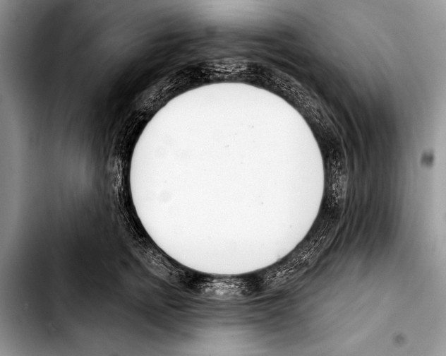 X0000103400758200810100933