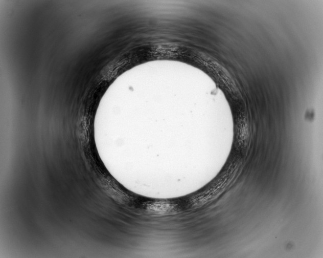 X0000103400759200810100933