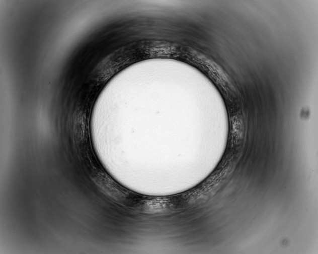 X0000103400761200810100933