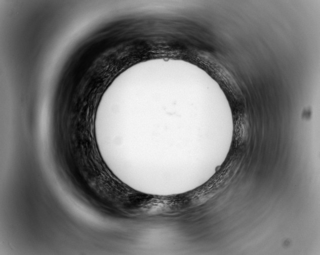 X0000103400764200810100933