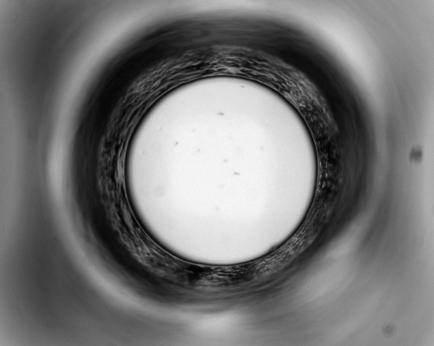 X0000103400765200810100933