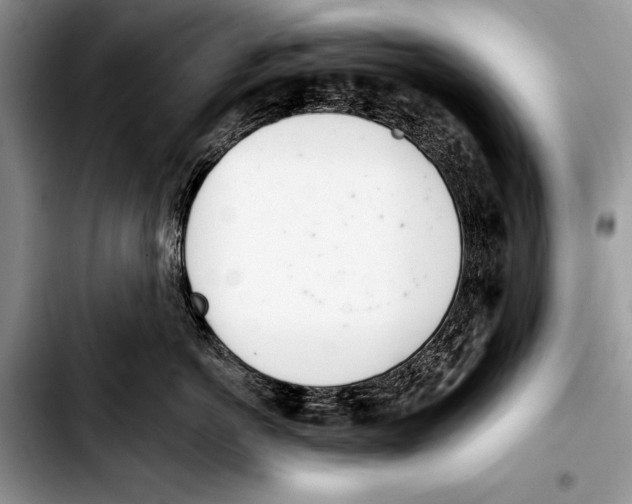 X0000103400766200810100933