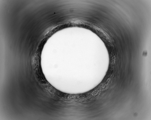 X0000103400776200810100933