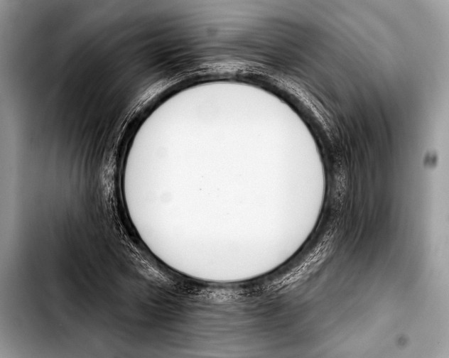 X0000103400778200810100933