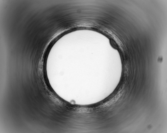 X0000103400779200810100933