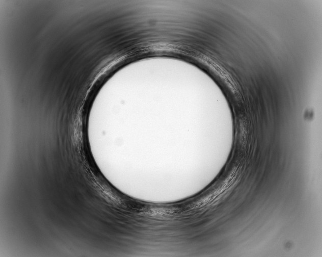 X0000103400782200810100933