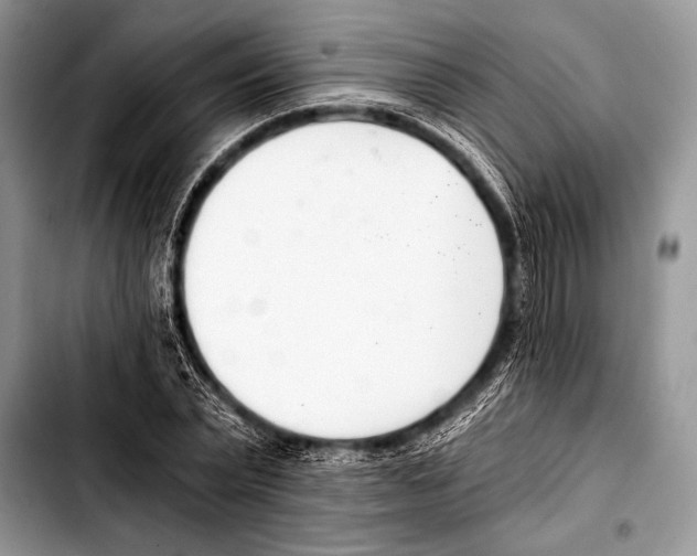 X0000103400783200810100933