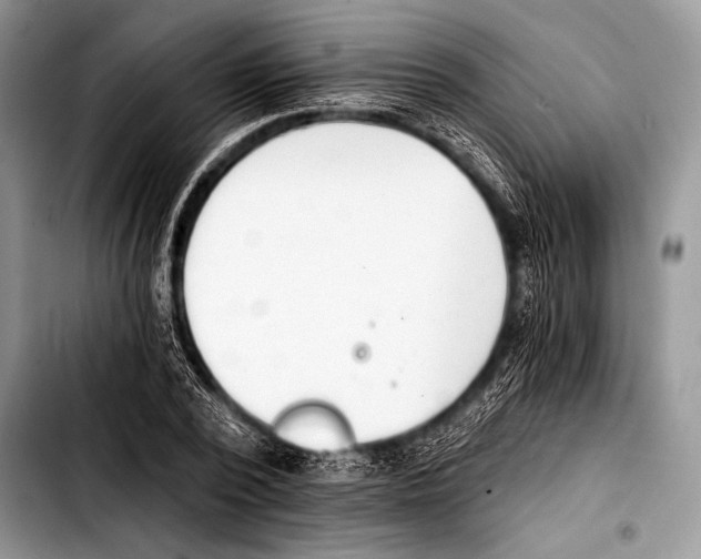 X0000103400784200810100933