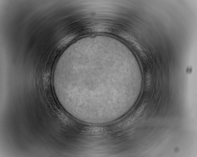 X0000103400785200810100933