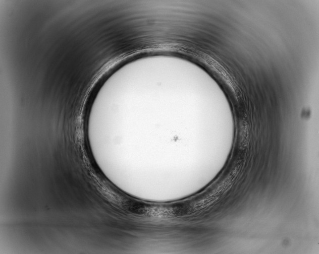 X0000103400789200810100932