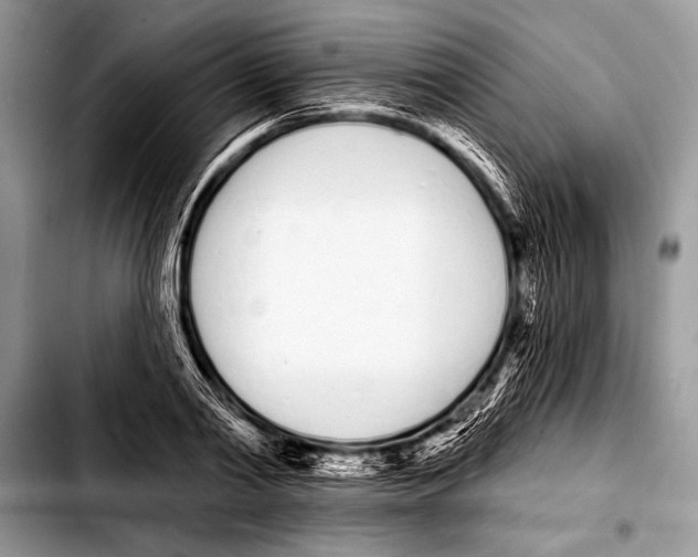 X0000103400790200810100932