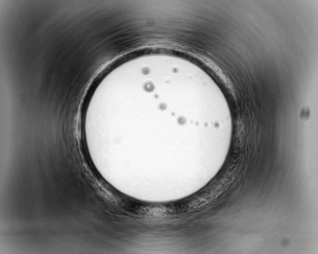 X0000103400791200810100932