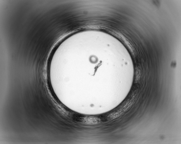 X0000103400795200810100932