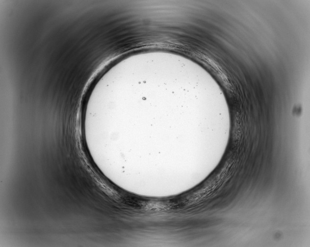 X0000103400796200810100932