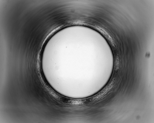 X0000103400798200810100932