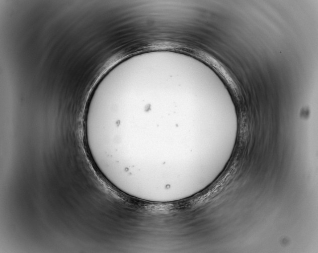 X0000103400810200810100932