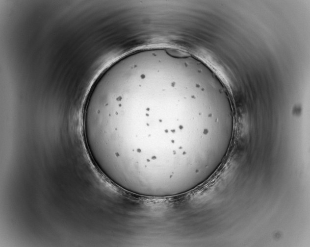 X0000103400813200810100932