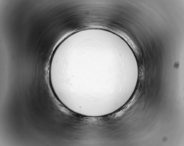 X0000103400814200810100932