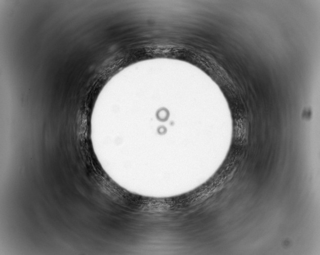 X0000103400820200810100931