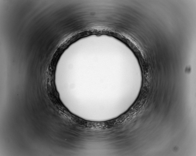 X0000103400823200810100931