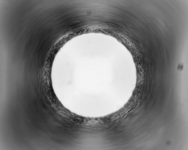 X0000103400824200810100931