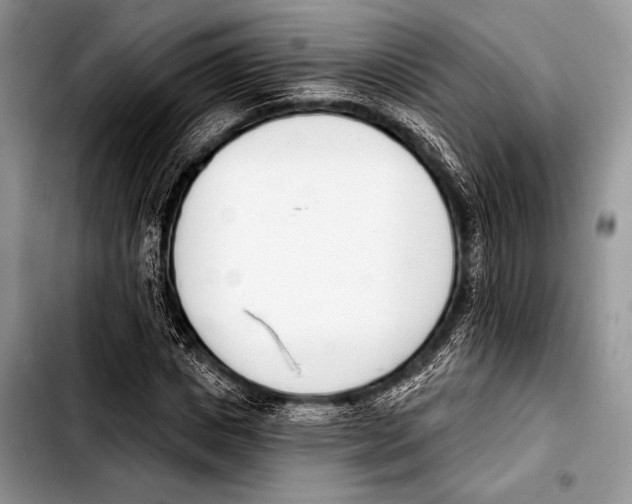 X0000103400825200810100931