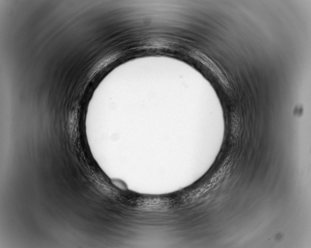 X0000103400826200810100931