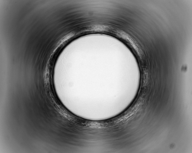 X0000103400827200810100931