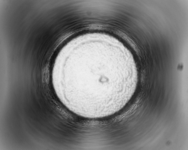 X0000103400829200810100931