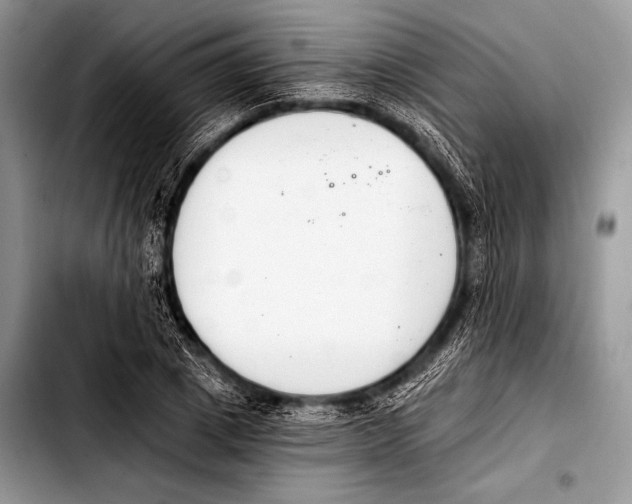 X0000103400833200810100931