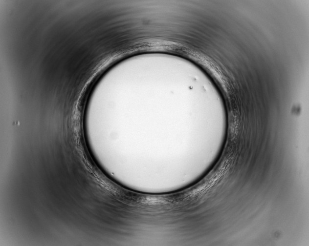 X0000103400835200810100932