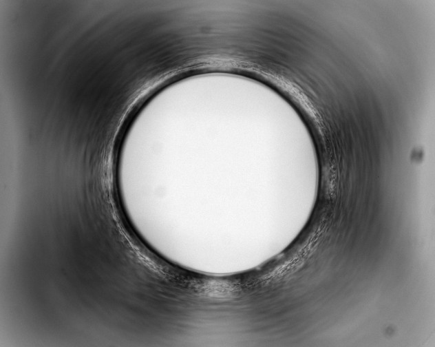 X0000103400839200810100932