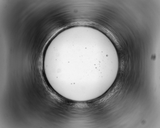 X0000103400844200810100932