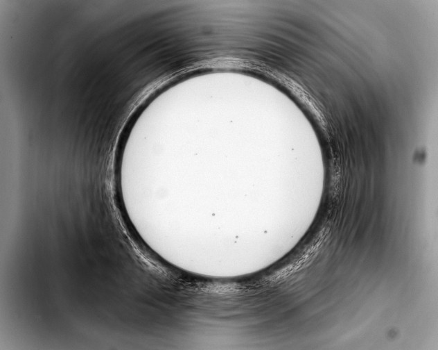 X0000103400845200810100932