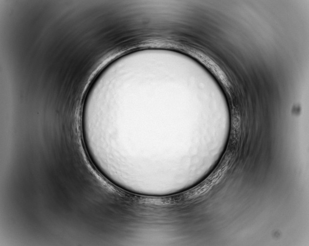 X0000103400855200810100932