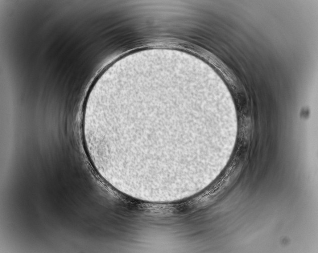 X0000103400856200810100932