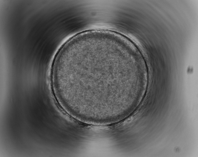 X0000103400864200810100932