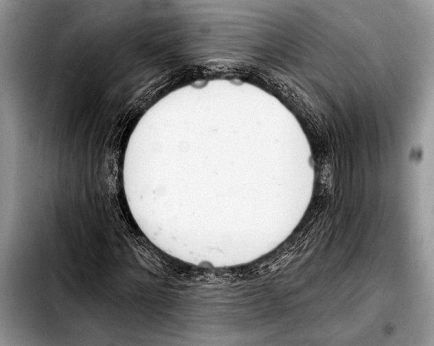 X0000103400868200810100931