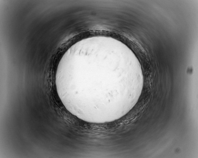 X0000103400870200810100931