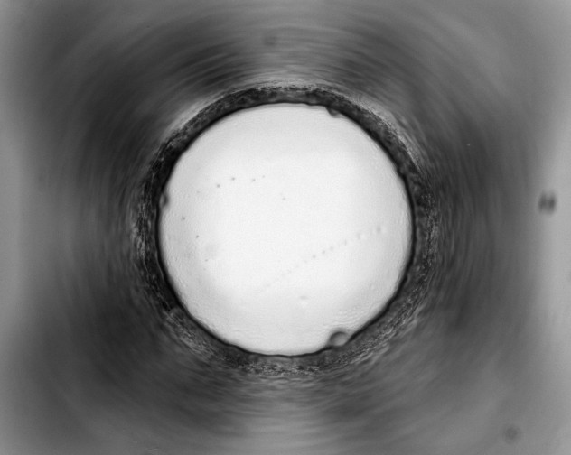 X0000103400871200810100931