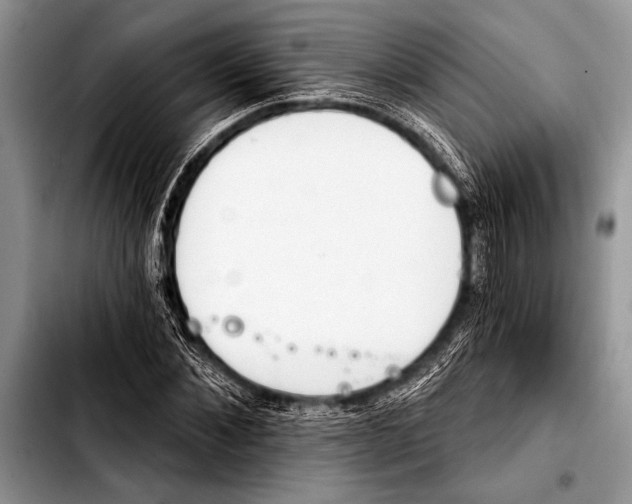 X0000103400876200810100931