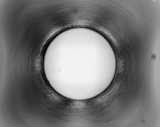 X0000103400878200810100931