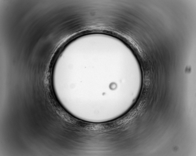 X0000103400879200810100931