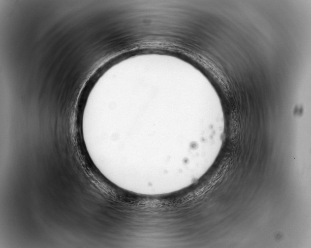 X0000103400880200810100931