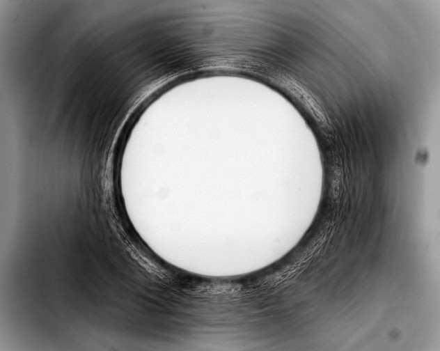 X0000103400884200810100931