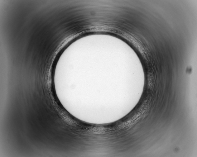 X0000103400885200810100931