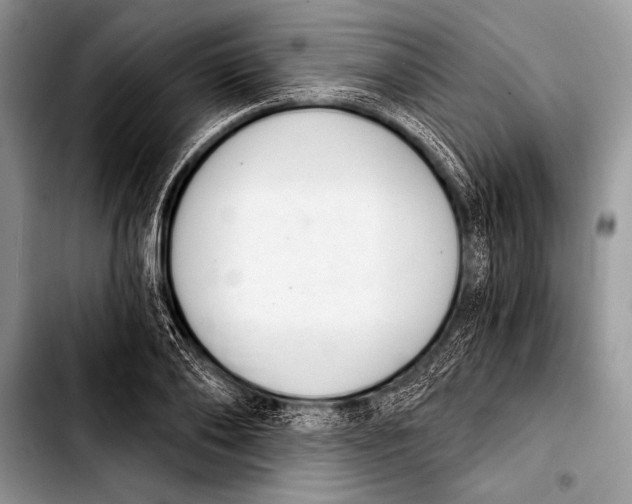 X0000103400886200810100931