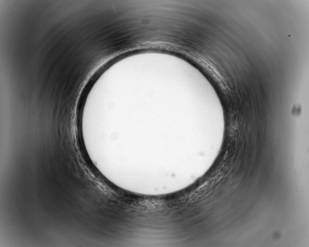 X0000103400888200810100931