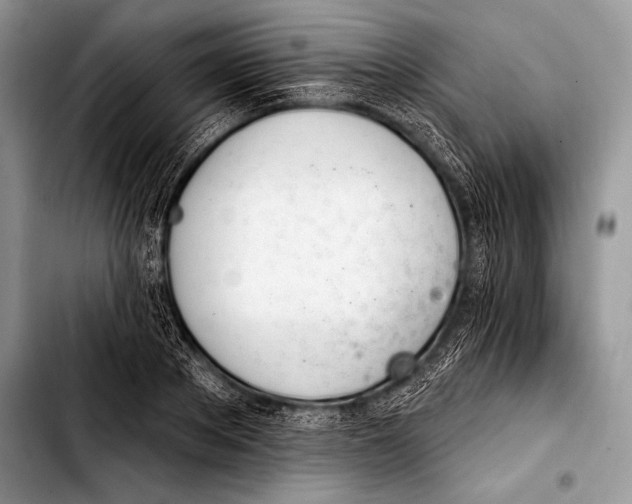 X0000103400889200810100931