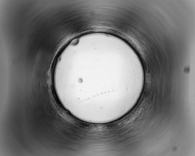 X0000103400891200810100931